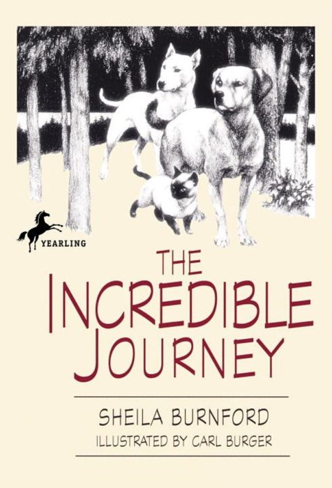 the incredible journey chapter 8