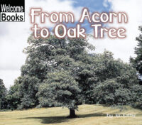 Welcome Books™-How Things Grow: From Acorn to Oak Tree