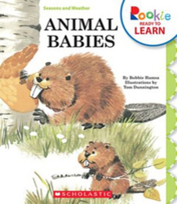 Rookie Reader®-Level B: Animal Babies by Bobbie Hamsa