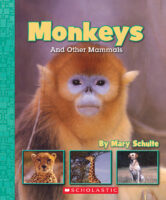 Scholastic News Nonfiction Readers: Monkeys and Other Mammals