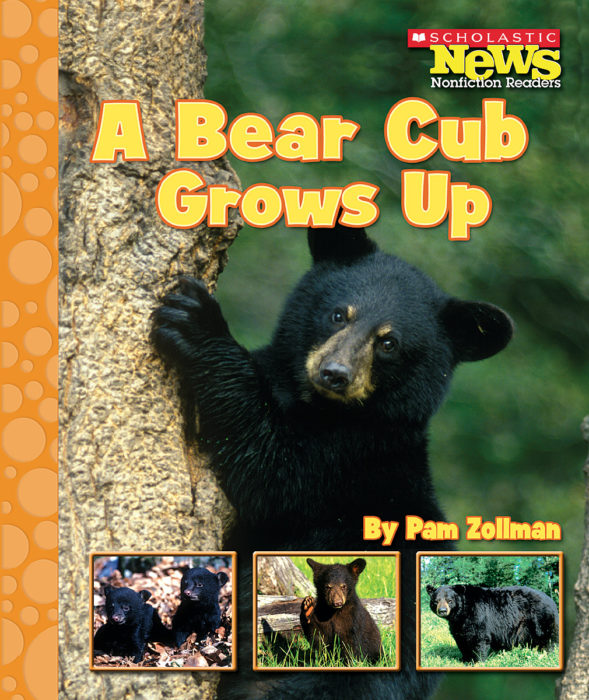 A Bear Cub Grows Up by Pam Zollman Scholastic