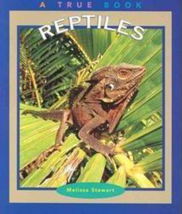 Reptiles by Melissa Stewart | Scholastic