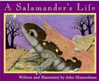 Nature Upclose: A Salamander's Life
