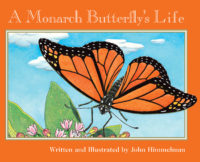 Nature Upclose: A Monarch Butterfly's Life
