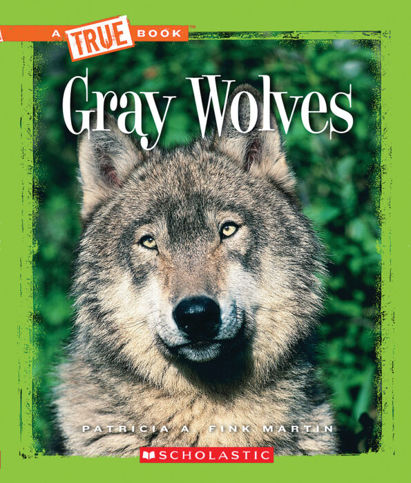 A True Book Animals Gray Wolves By Patricia A Fink Martin