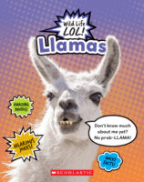 Wild Life LOL!™: Llamas