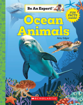 Be An Expert!: Ocean Animals