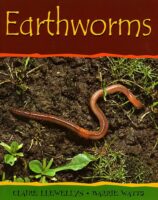 Minibeasts: Earthworms