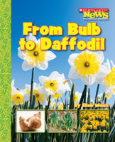 Scholastic News Nonfiction Readers®-How Things Grow: From Bulb to Daffodil