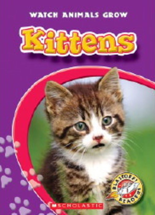 Kittens by Colleen Sexton | Scholastic