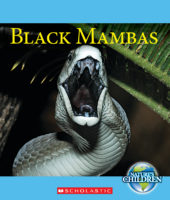 Black Mambas