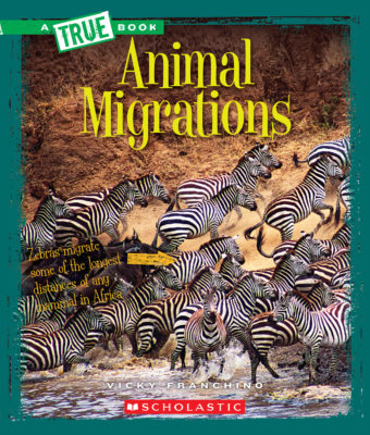 Animal Migrations