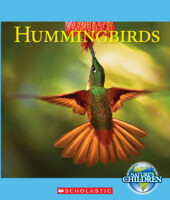 Hummingbirds