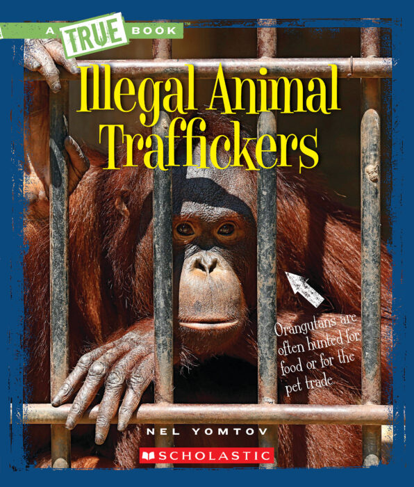 Is Anonibal Illegal? Avoid These Mistakes To Stay Out Of Trouble! - 091aur4