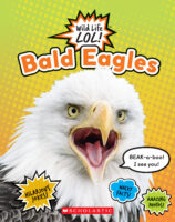 Wild Life LOL!™: Bald Eagles