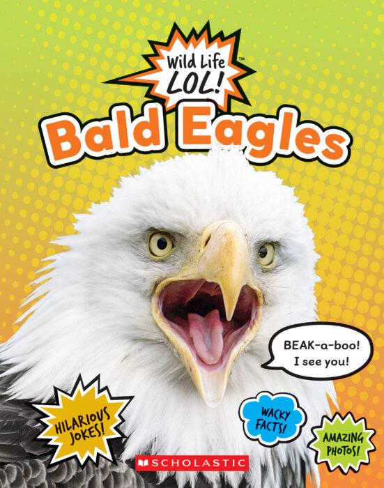 Wild Life LOL!™: Bald Eagles