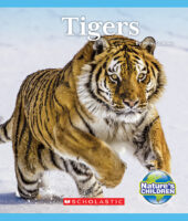 Nature's Children™-Animals in Danger!: Tigers
