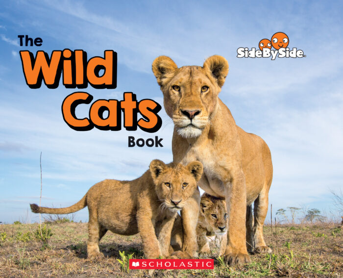 Side by Side: The Wild Cats Book