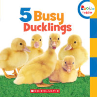 Rookie Toddler®-First Concepts: 5 Busy Ducklings