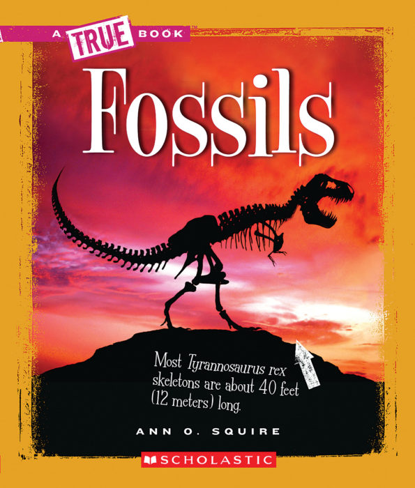A True Book™Earth Science Fossils by Ann O. Squire
