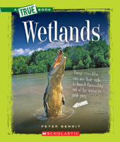 Wetlands (A True Book: Ecosystems)
