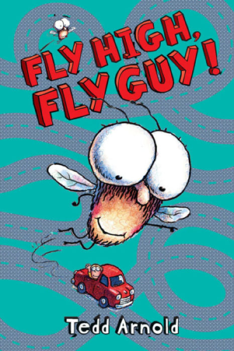 Fly Guy #5: Fly High, Fly Guy!