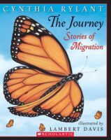 The Journey