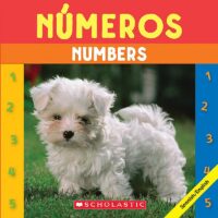 Beginning Concepts Bilingual: Numbers / Números