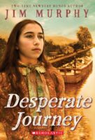 Desperate Journey