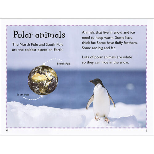 Scholastic Reader!® Level 1: Polar Animals