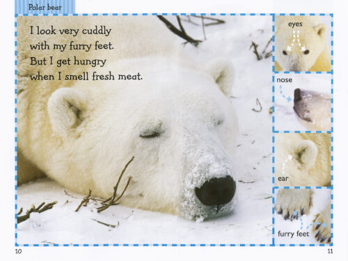 Scholastic Reader!® Level 1: Polar Animals