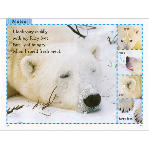 Scholastic Reader!® Level 1: Polar Animals