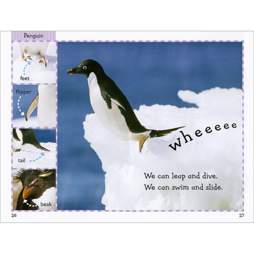 Scholastic Reader!® Level 1: Polar Animals