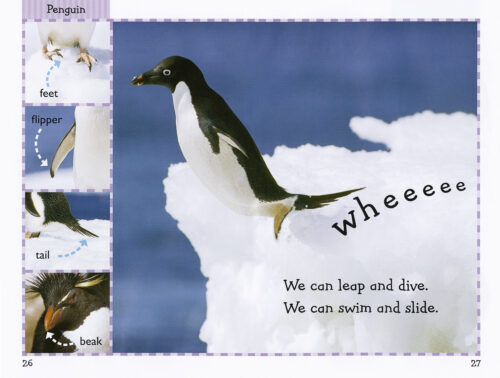 Scholastic Reader!® Level 1: Polar Animals
