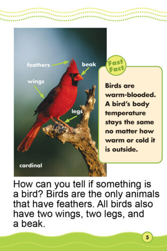 Science Vocabulary Readers: Beautiful Birds by Justin McCory