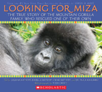 Looking for Miza