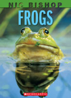 Nic Bishop: Frogs