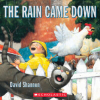 The Rain Came Down
