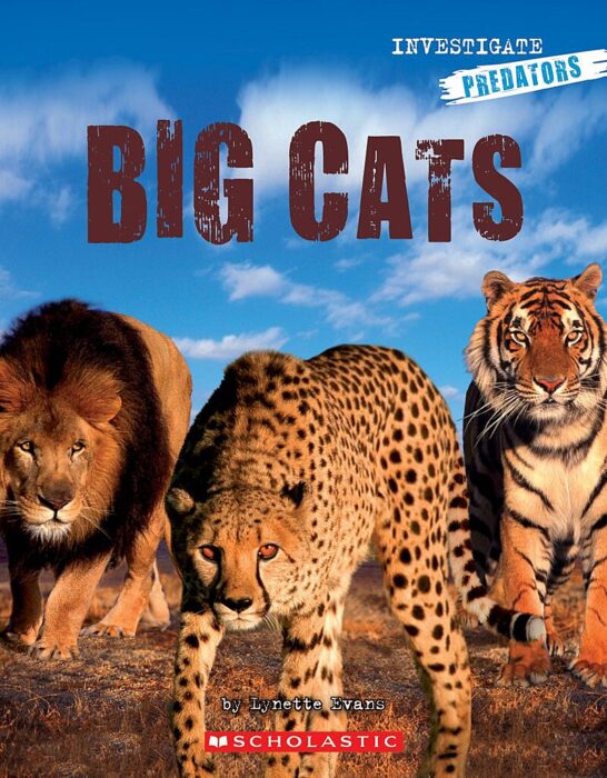 Investigators: Predators: Big Cats