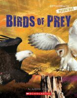 Investigators: Predators: Birds of Prey