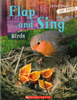 Investigators: Life Cycles: Flap and Sing: Birds