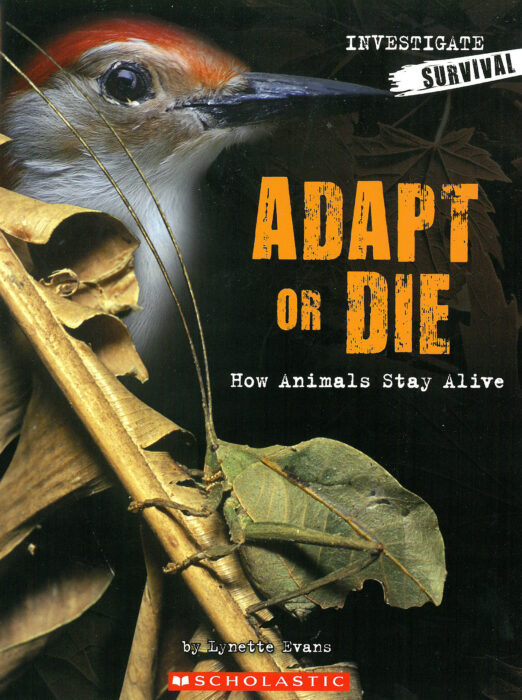 Investigators Survival Adapt or Die How Animals Stay Alive by Evans