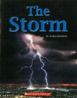 The Storm