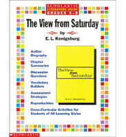 The Literature Guide: View from Saturday