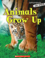 Investigators: Life Cycles: Animals Grow Up