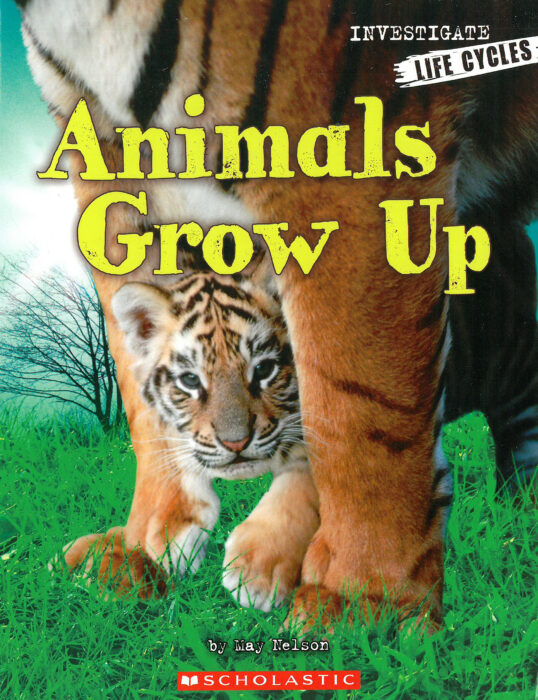Investigators: Life Cycles: Animals Grow Up