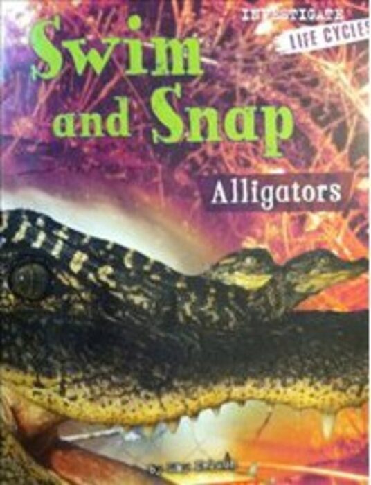 Investigators: Life Cycles: Swim and Snap: Alligators
