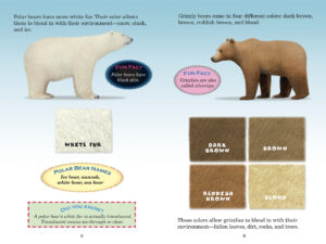 Polar Bear Vs Grizzly Bear Size Comparison
