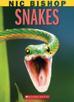 Nic Bishop: Snakes