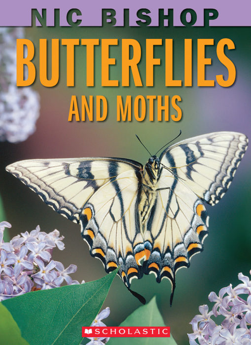 Nic Bishop: Butterflies and Moths